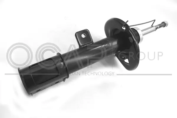 Shock Absorber (82061FL)
