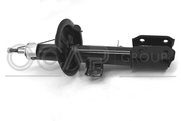 Shock Absorber (82229FR)