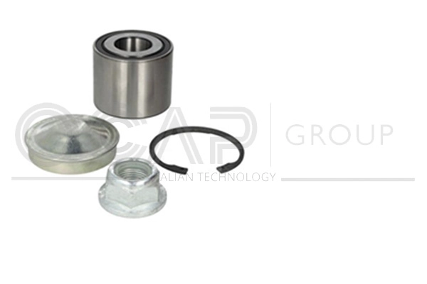 Wheel Bearing Kit (6120156)