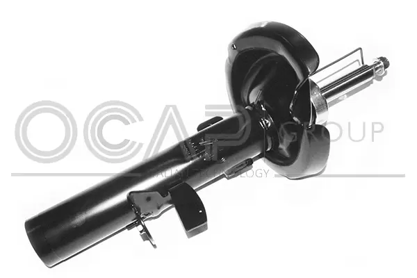 Shock Absorber (82605FR)