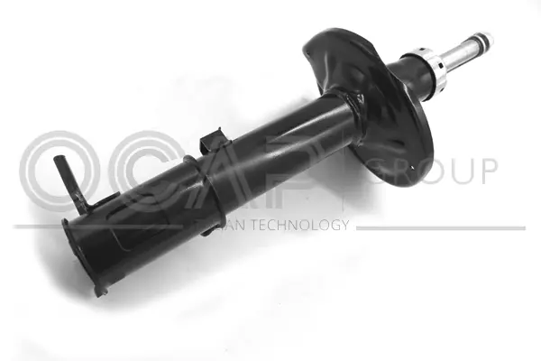 Shock Absorber (82077RR)