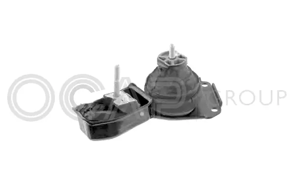 Mounting, engine (1225224)