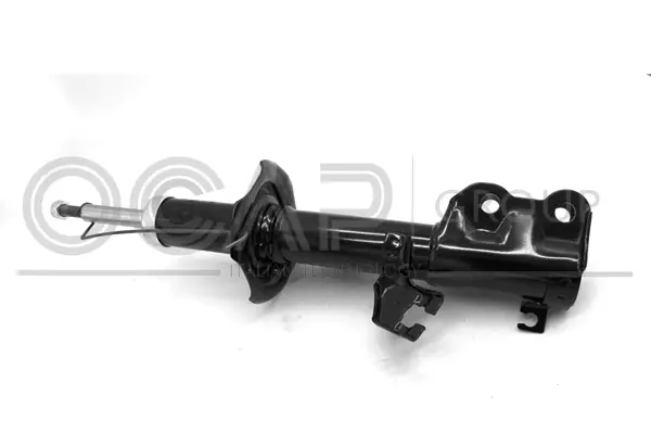 Shock Absorber (82484FL)
