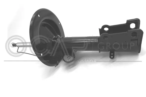 Shock Absorber (82208FU)