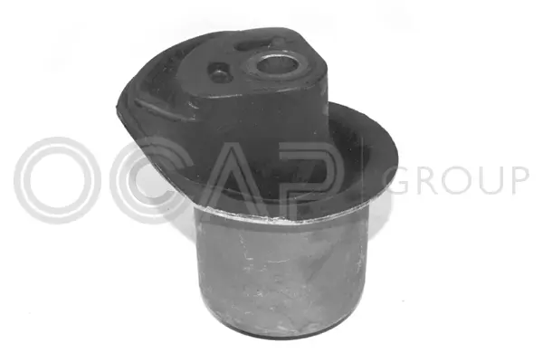 Bushing, axle beam (1215657)