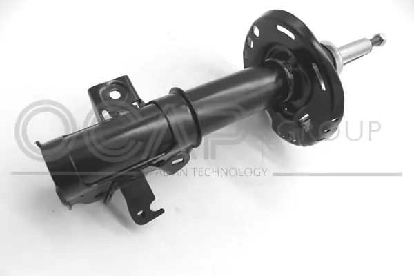 Shock Absorber (82360FR)