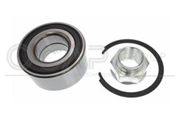 Wheel Bearing Kit (6120210)
