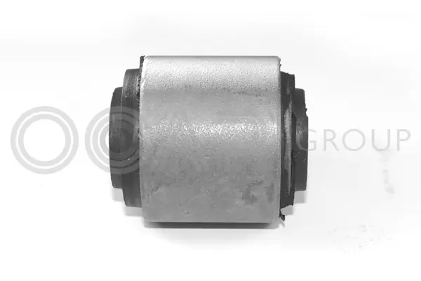 Bushing, axle beam (1215114)