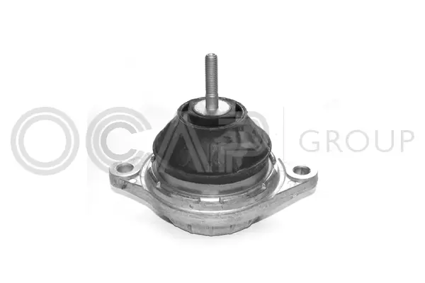 Mounting, engine (1225034)