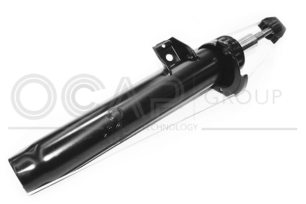 Shock Absorber (82565FR)