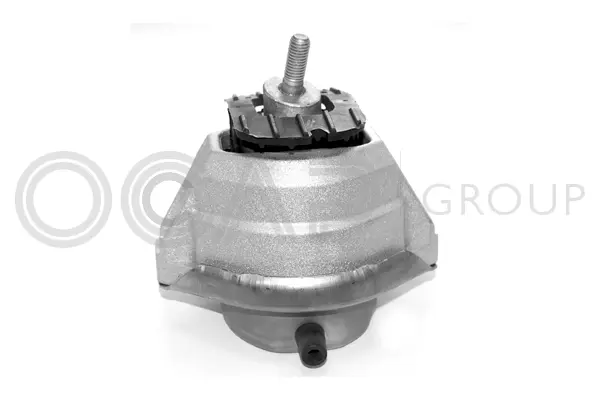 Mounting, engine (1225133)