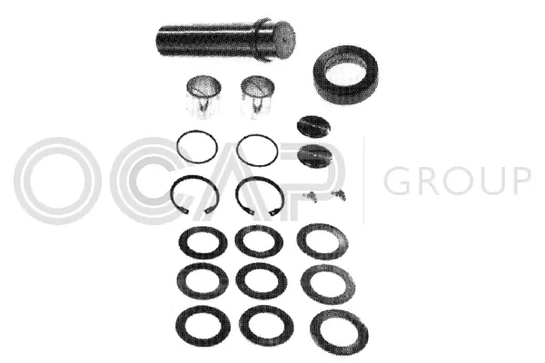 Repair Kit, kingpin (0927407)