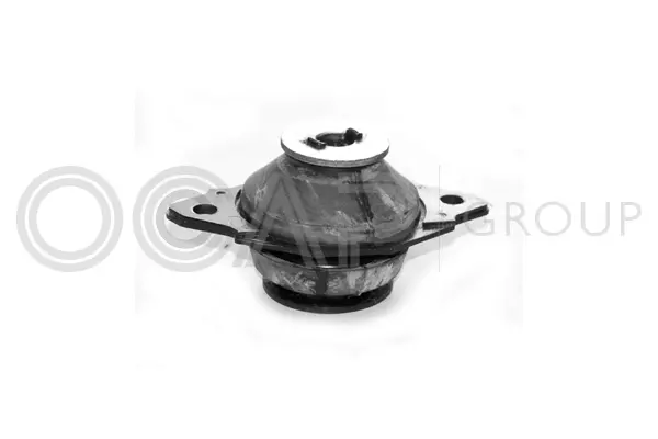 Mounting, engine (1225503)