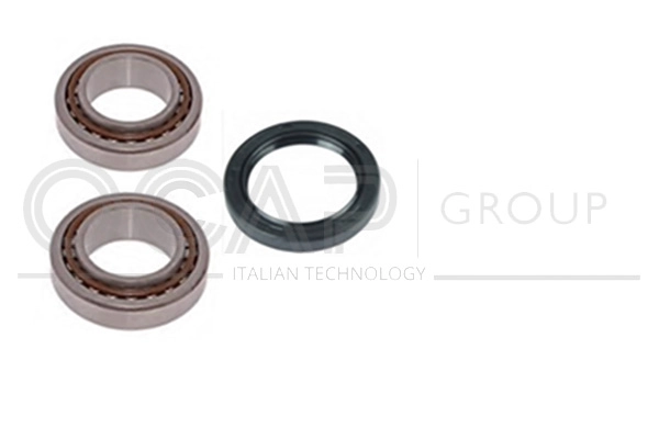 Wheel Bearing Kit (6120110)