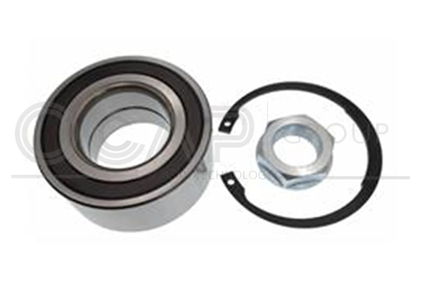 Wheel Bearing Kit (6120123)