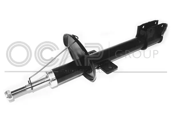 Shock Absorber (82570RU)