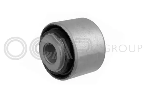 Mounting, control/trailing arm (1216034)