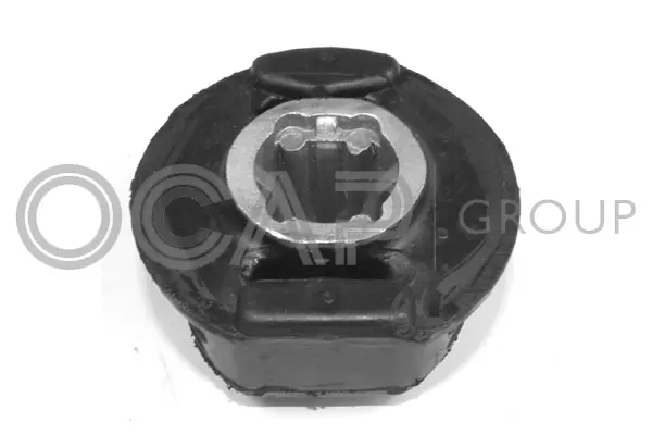 Bushing, axle beam (1215431)