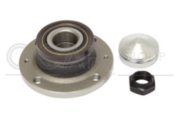Wheel Bearing Kit (6120176)