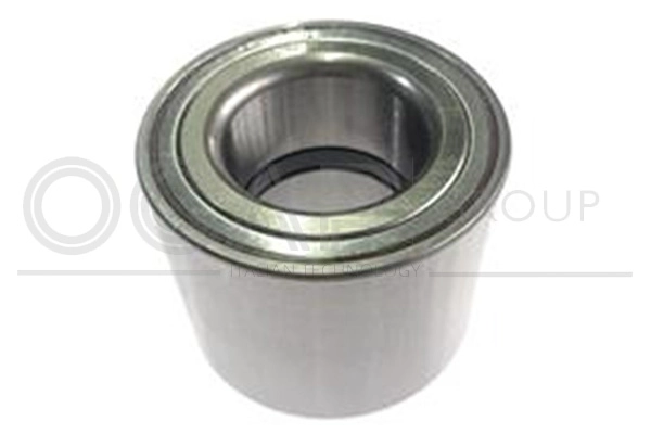 Wheel Bearing Kit (6120397)