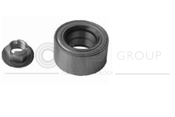 Wheel Bearing Kit (6120268)