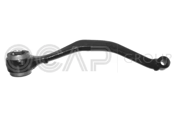 Control/Trailing Arm, wheel suspension (0394209)