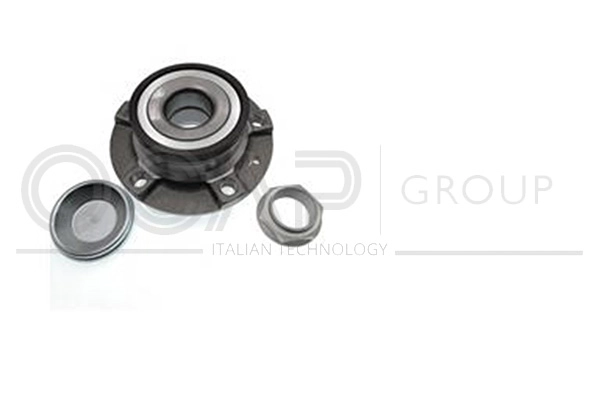 Wheel Bearing Kit (6120236)