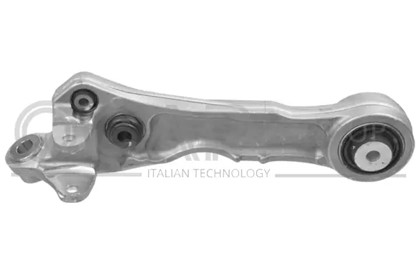 Control/Trailing Arm, wheel suspension (0389291)