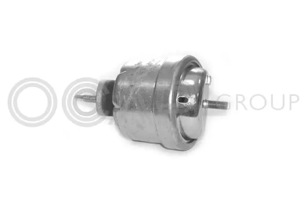 Mounting, engine (1225426)