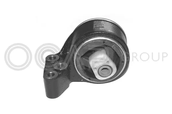 Mounting, engine (1225574)