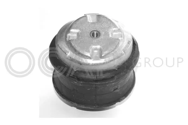 Mounting, engine (1225316)
