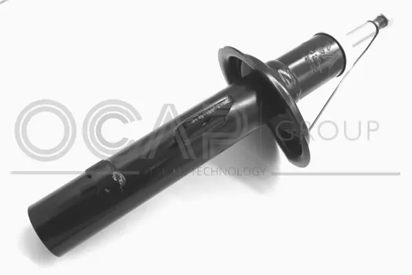 Shock Absorber (82025FR)