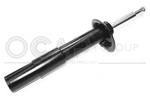 Shock Absorber (82362FL)