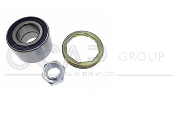 Wheel Bearing Kit (6120380)