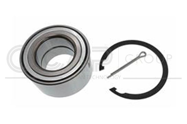 Wheel Bearing Kit (6120197)
