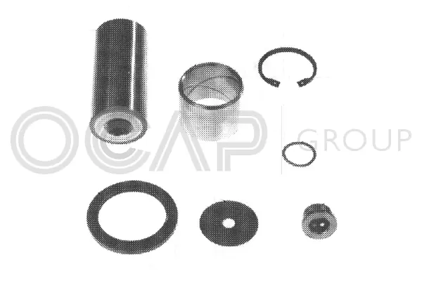 Repair Kit, kingpin (0927409)
