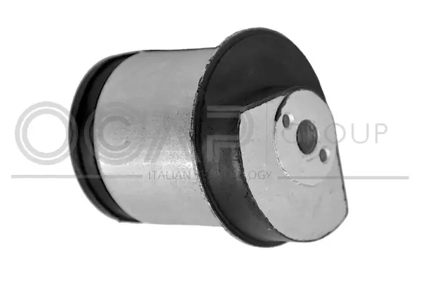 Bushing, axle beam (1216428)