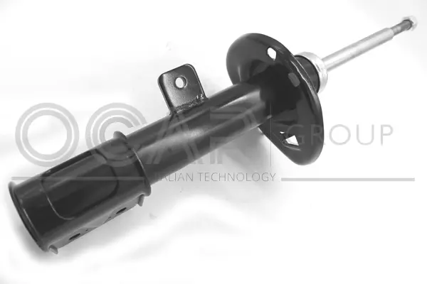 Shock Absorber (82075FL)