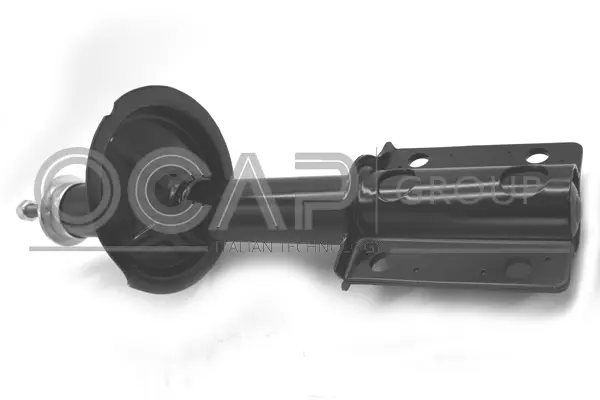 Shock Absorber (80036FU)