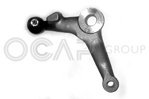 Steering Arm (0303450)