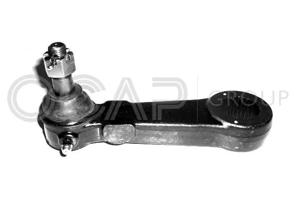 Steering Arm (0303488)