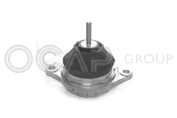 Mounting, engine (1225019)