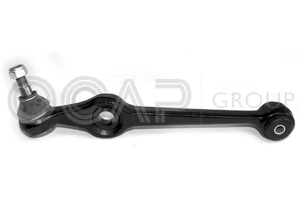 Control/Trailing Arm, wheel suspension (0300005)