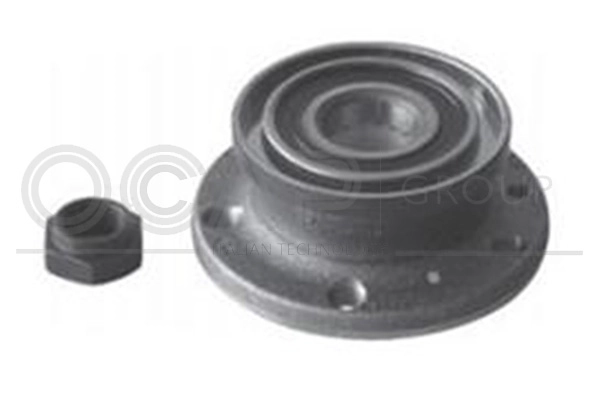 Wheel Bearing Kit (6120308)