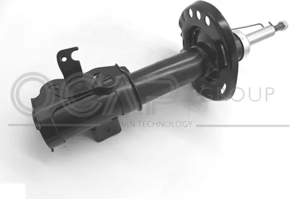 Shock Absorber (82360FL)