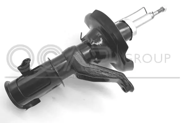 Shock Absorber (82420FR)