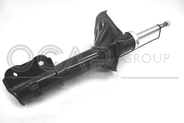 Shock Absorber (82088FR)