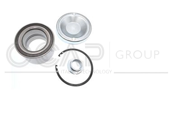 Wheel Bearing Kit (6120450)