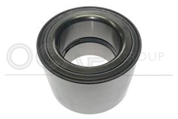 Wheel Bearing Kit (6120150)