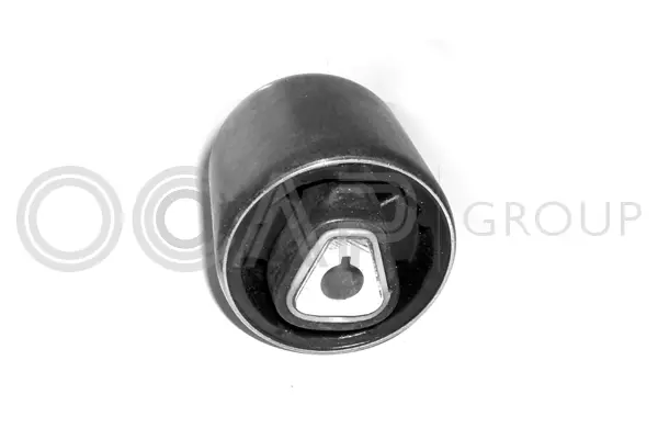 Mounting, control/trailing arm (1215789)